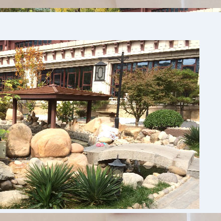 施工組織設(shè)計的編制依據(jù)-施工組織<a href=